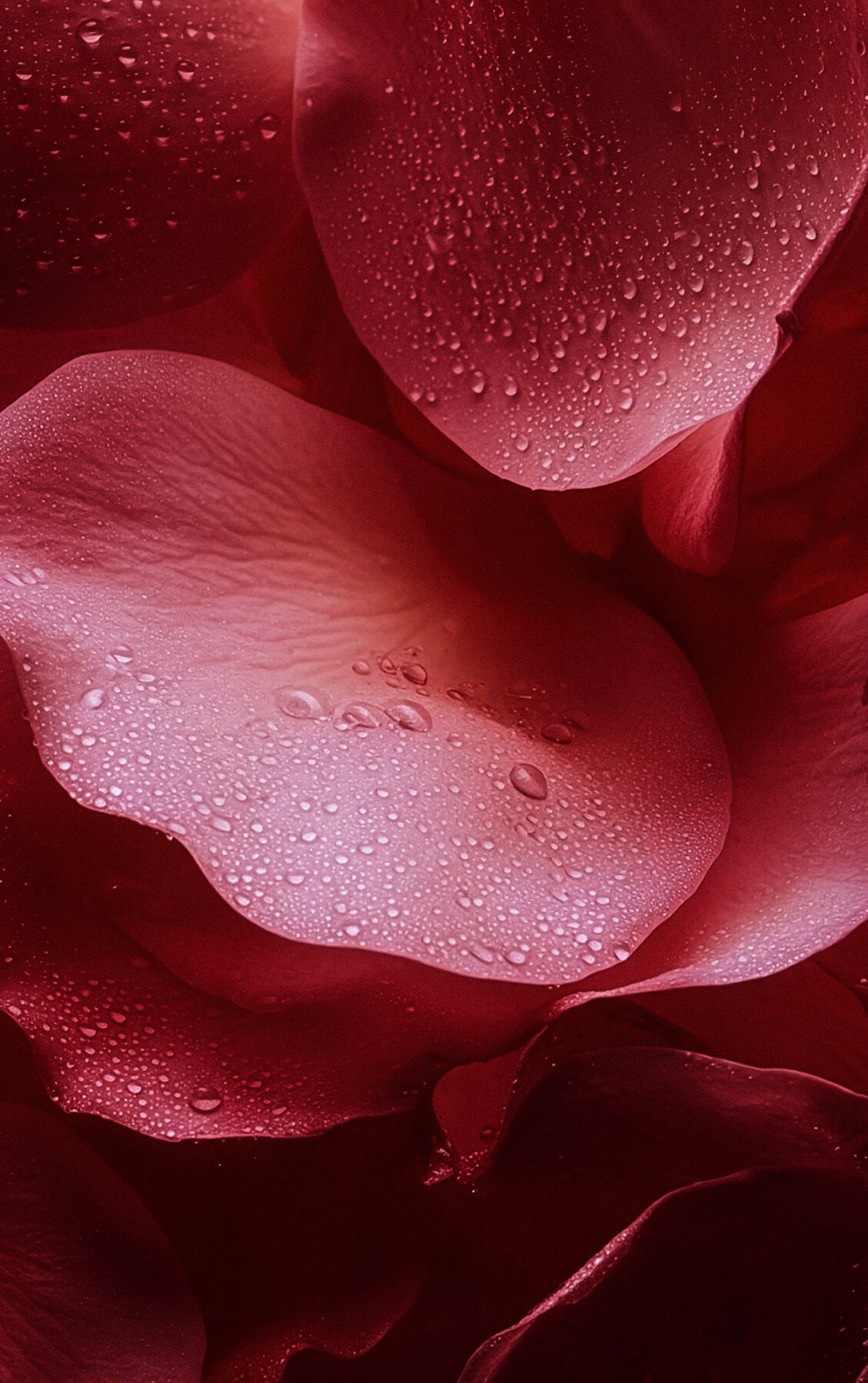 Le Trio Plaisir Nacré - Rose Mystik